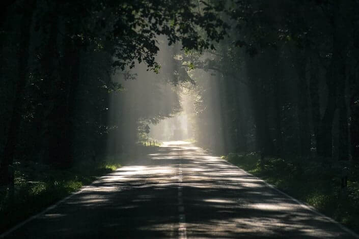A beautifully captured photograph