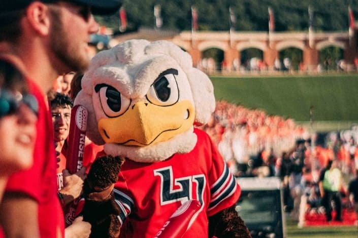 Eagle mascot at a game