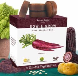 cute gifts for boyfriend - Exotic Vegetables Growing Kit