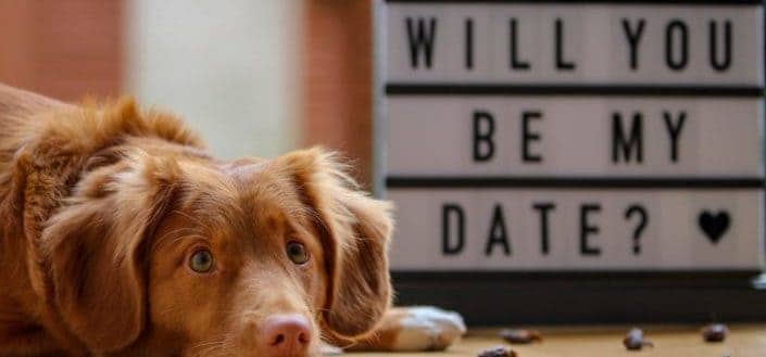 cute gifts for boyfriend - cute valentines day gifts for boyfriend.jpeg