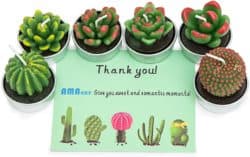 unique bridesmaid gifts - Cactus Candles