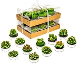 Little Cactus Tealight Candles