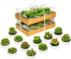 Phyther Cactus Tealight Candles