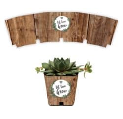 Succulent Wraps, Let Love Grow
