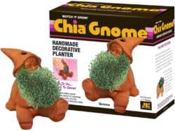 Chia Gnome Pet