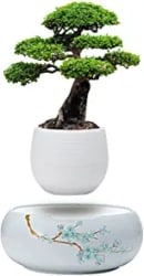 Levitating Mini Plant Pot with Japanese Style Design for Flowers Or Bonsai