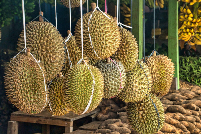Bunch of durian, hanged for sale.