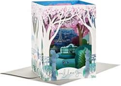 Pop up Anniversary Card