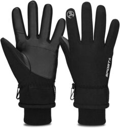 Winter Gloves
