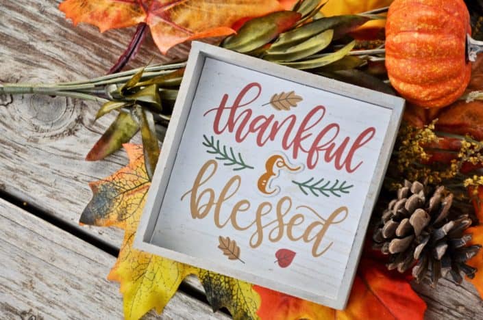 What are you most thankful for