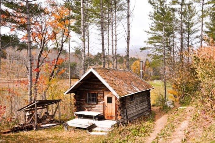 Cabin in the woods