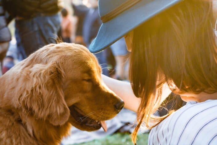 woman holding an adult golden retriever