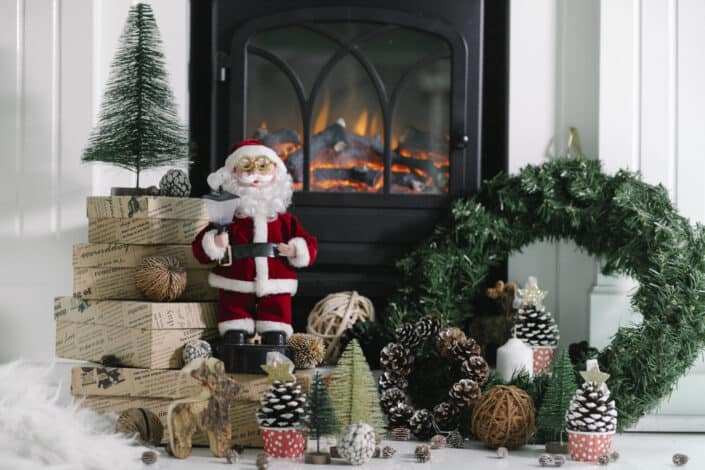 A Santa Claus toy displayed together with other succulents.