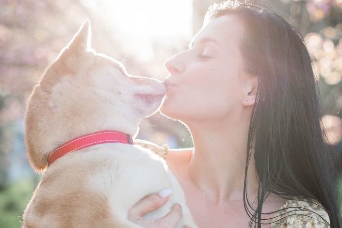 Girl Kissing White Short Coat Puppy