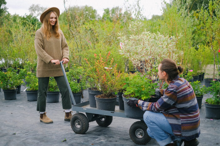 gardeners carrying potted plants on wheelbarrow