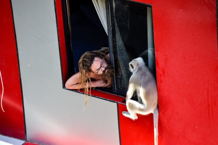 A man and a monkey looking at each other