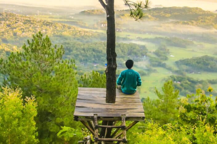 man sitting under the tree