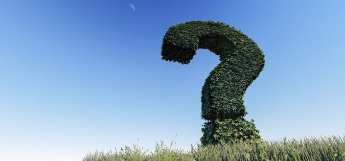 question mark made of flower