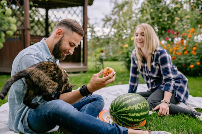 A couple in a picnic with their pet cat