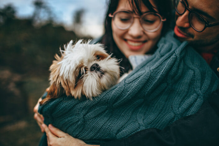 Couple hugging a shih tzu