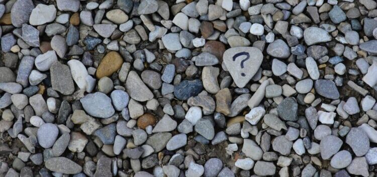gray and brown stones on gray ground