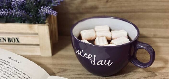 Cup of Hot Chocolate With Marshmallows