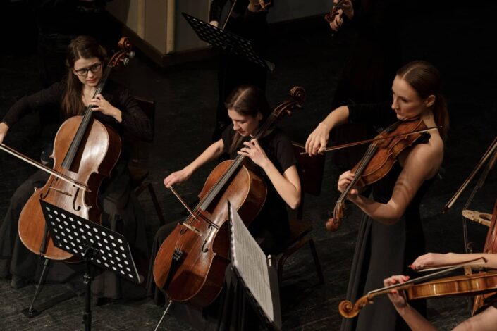 Group of ladies playing musical instruments